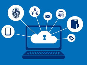 進銷存管理軟件 企業(yè)高效運營的智慧引擎